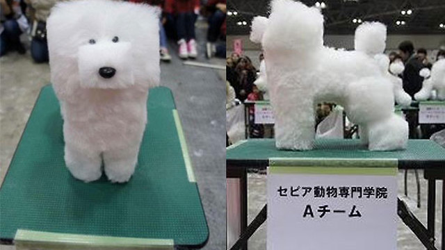 Name:  Square-groomed-dog.jpg
Views: 1046
Size:  50.5 KB
