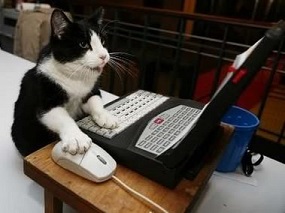 Name:  kat on laptop.JPG
Views: 517
Size:  24.2 KB