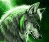 Oldwolf's Avatar