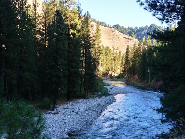 Middle fork Boise River above Twin Springs.